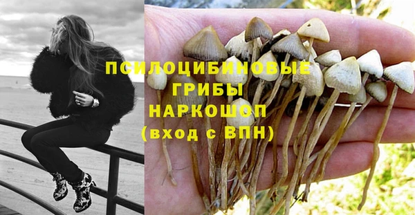 a pvp Осташков