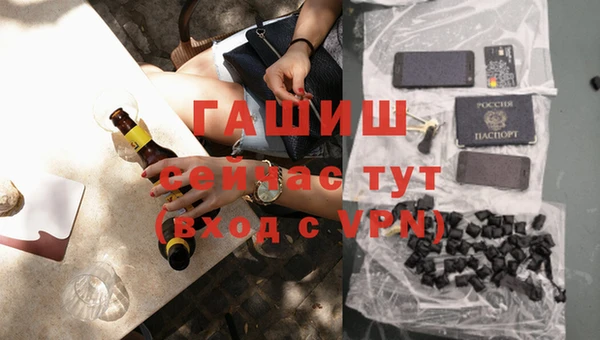 хмурый Абаза
