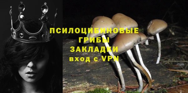спиды Осинники