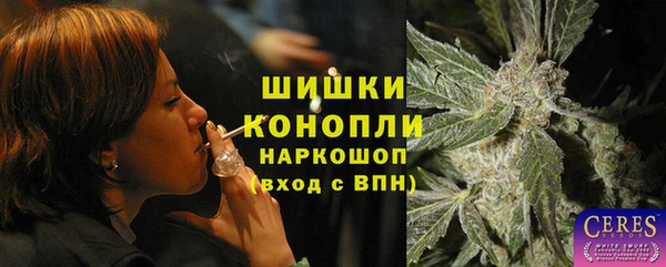 хмурый Абаза