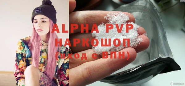 хмурый Абаза