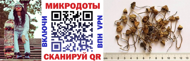 Галлюциногенные грибы ЛСД  Сураж 